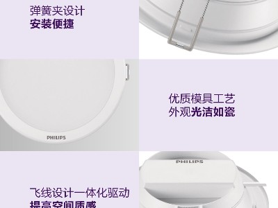 飞利浦DN500B筒灯