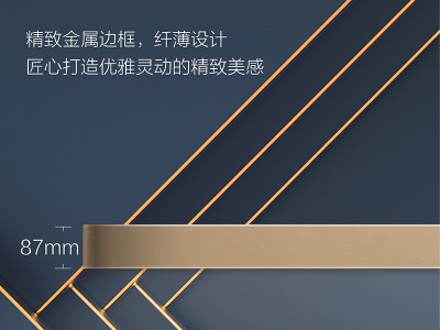 飞利浦金芝吸顶灯