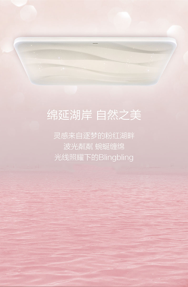 大2
